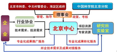 技术之芯，服务之桥 北京网络技术服务发展纵横