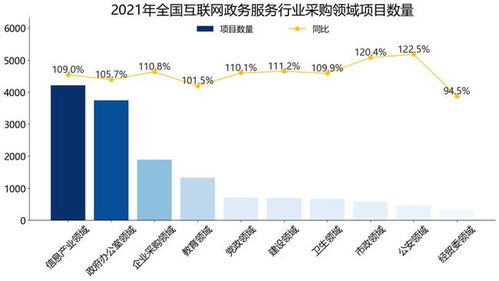 2021年全国互联网政务服务行业招标采购报告（简版）——聚焦北京网络技术服务